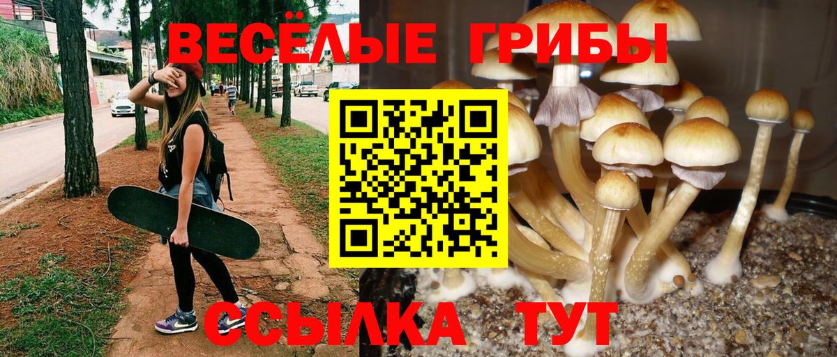 Галлюциногенные грибы Magic Shrooms Мурманск