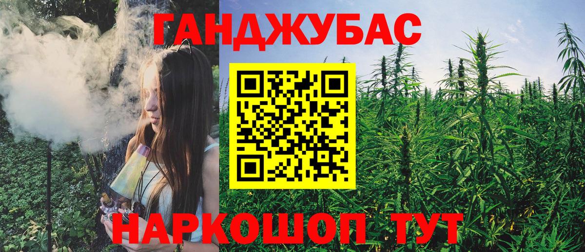 Шишки марихуана планчик  МАРИХУАНА тримм  Мурманск  Вход с VPN 
